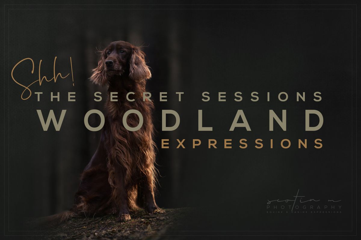 SECRET SESSIONS - WOODLAND