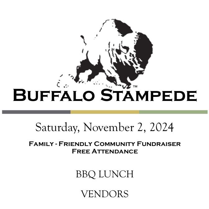 Buffalo Stampede 