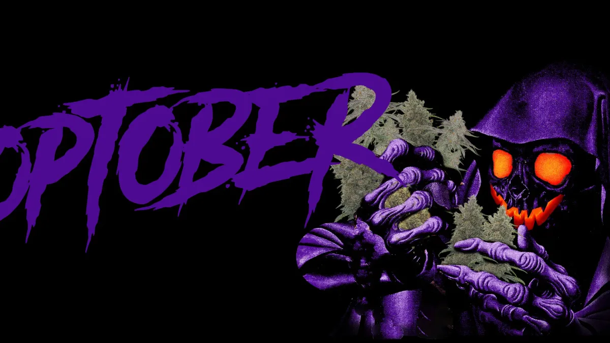 Money Man in Enschede