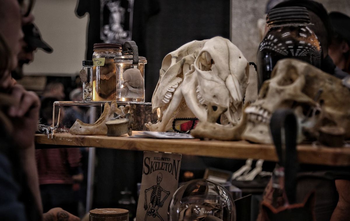 Oddities and Curiosities Expo at Indiana State Fairgrounds