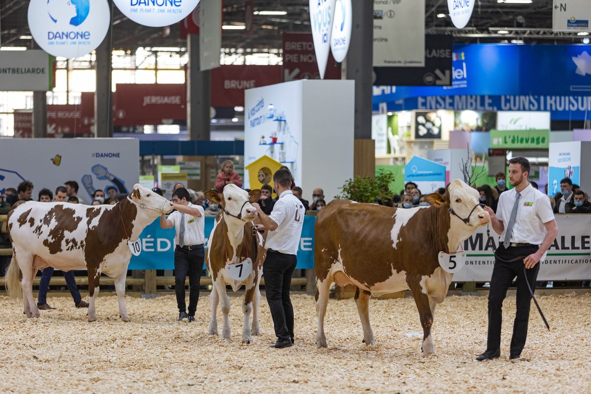 Salon de l'agriculture - Paris 