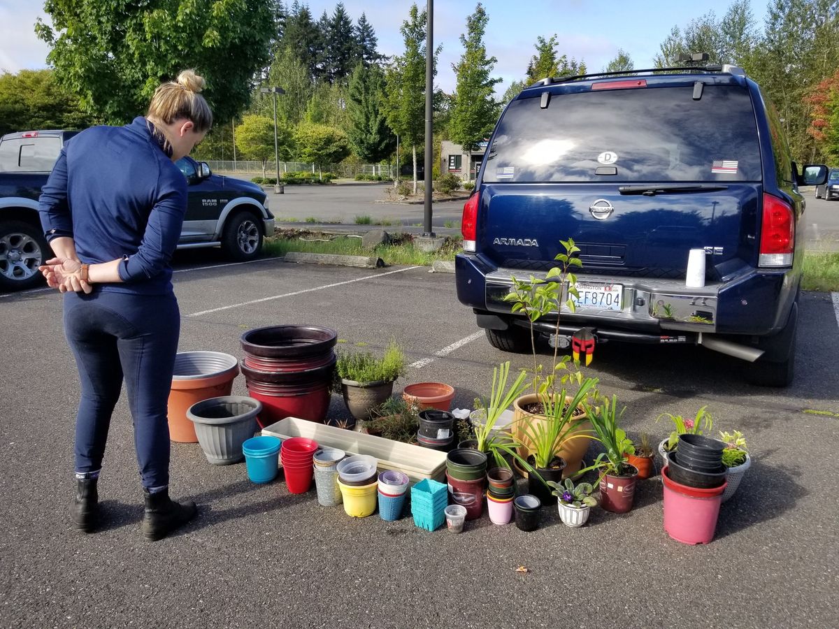 Olympia 2025 Spring Plant Swap