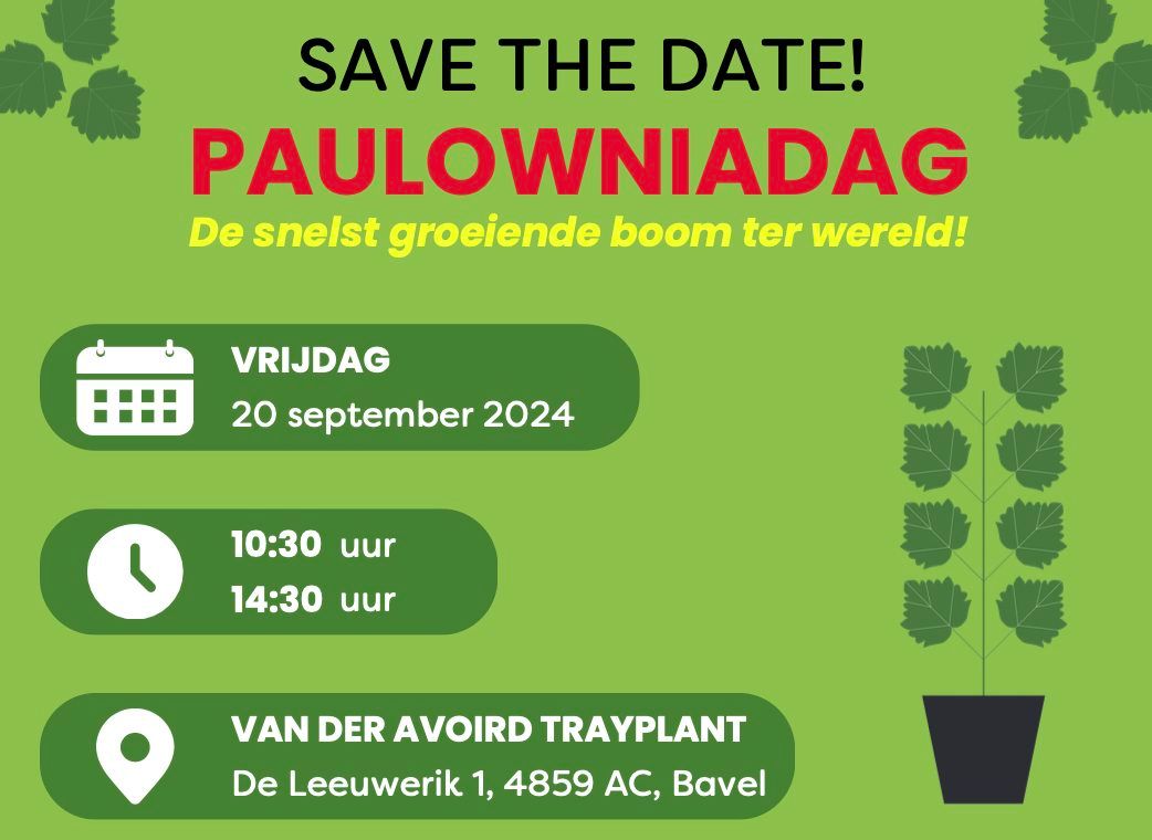 Paulowniadag - De snelst groeiende boom ter wereld