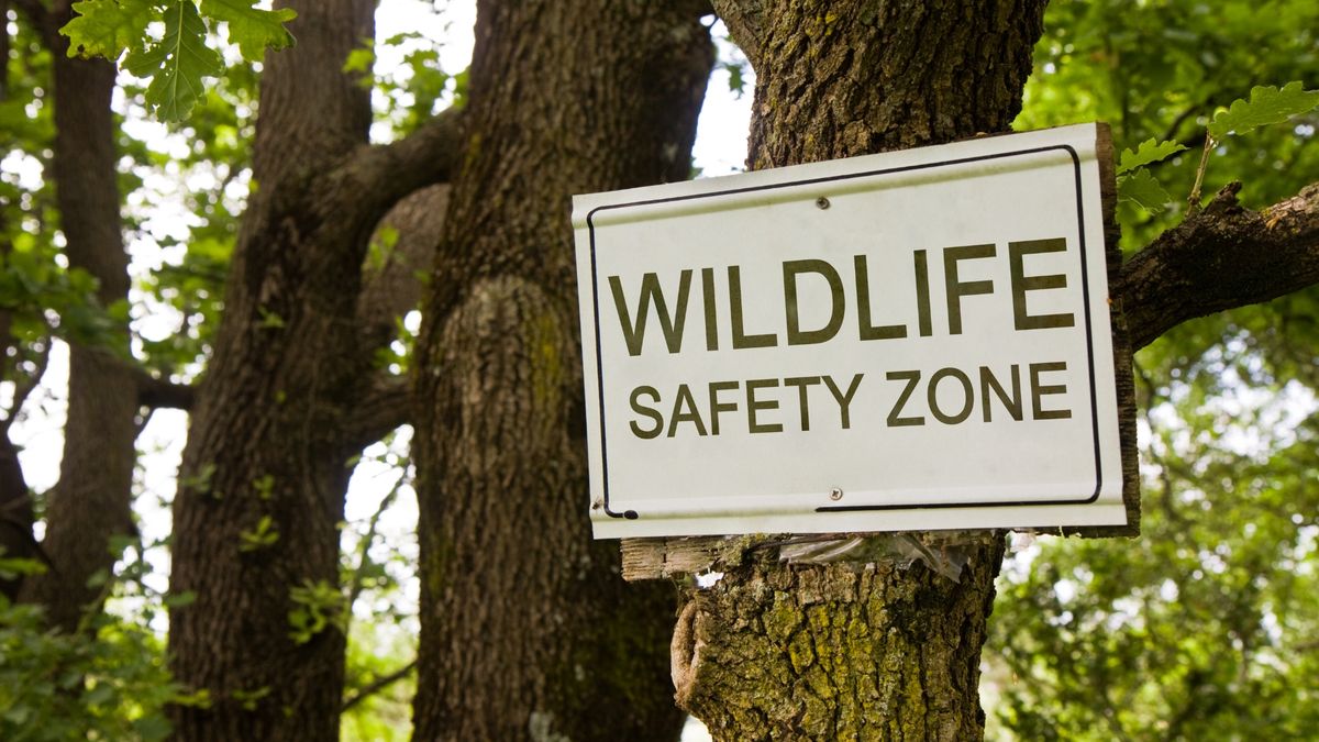 Wildlife Safety for Newcomers with WildSafeBC