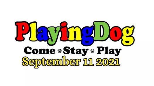 PlayingDog 2021!