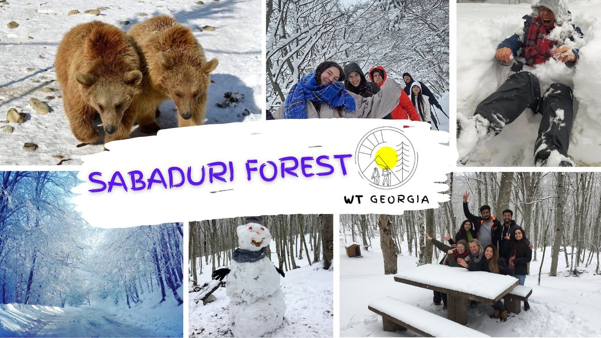 Sabaduri Forest Winter Tour \u2013 26 Jan