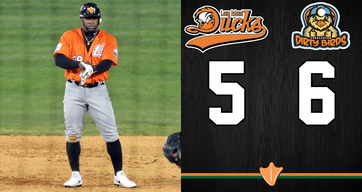 Long Island Ducks at Charleston Dirty Birds at GoMart Ballpark