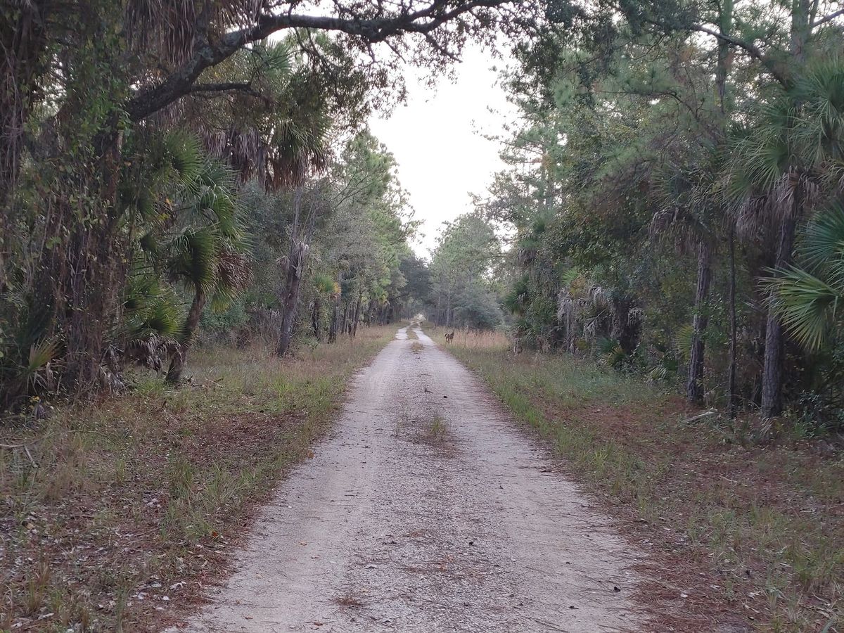 T. Mabry Carlton Reserve ride