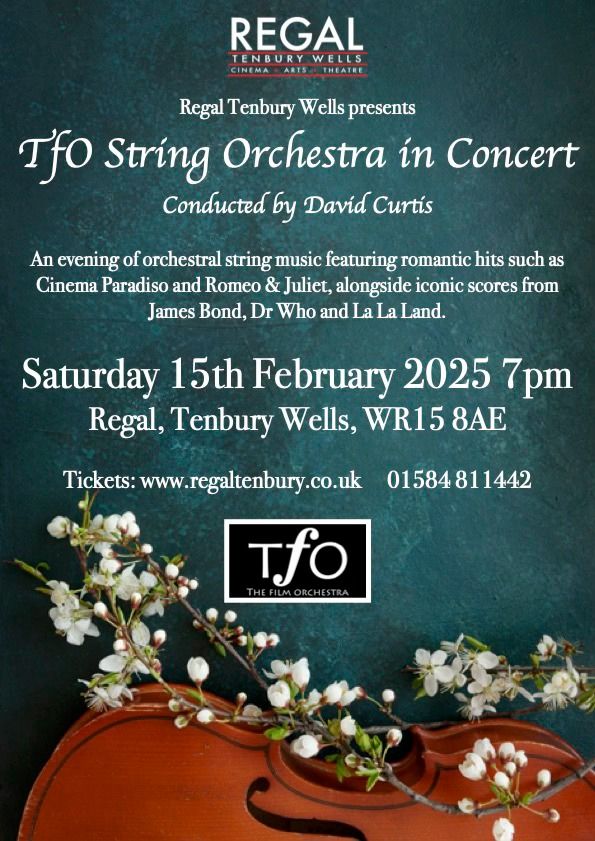 TfO String Orchestra in Concert