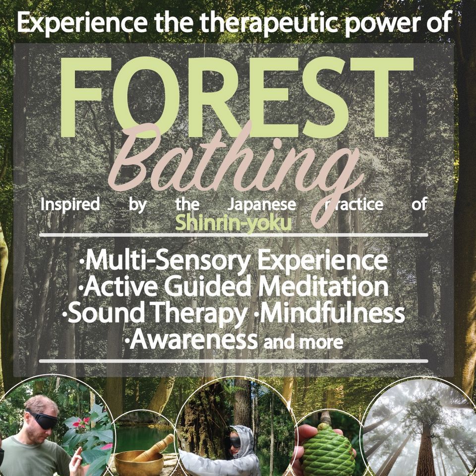 Forest Bathing | Earth Day Celebration