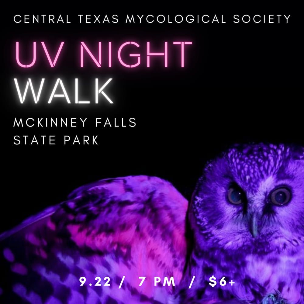 SOLD OUT: UV Night Walk at Mckinney Falls 