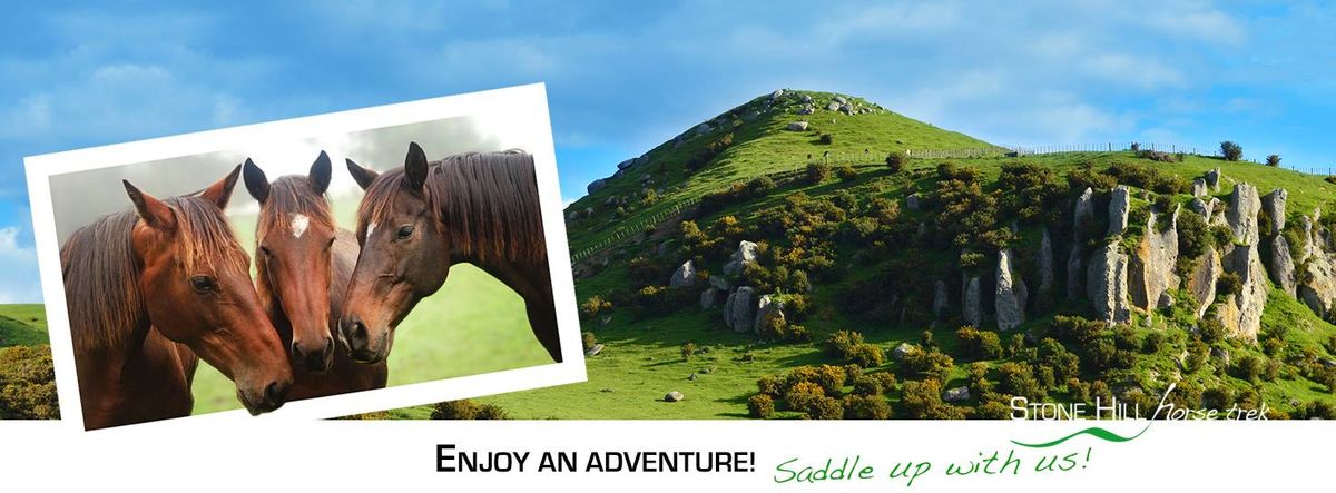 Multi Day Horse Riding Holiday - horses provided