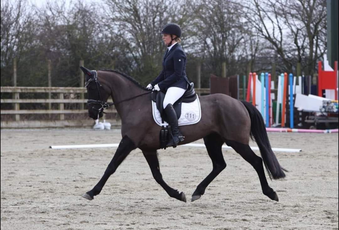 Summer unaffiliated dressage league - Round 2