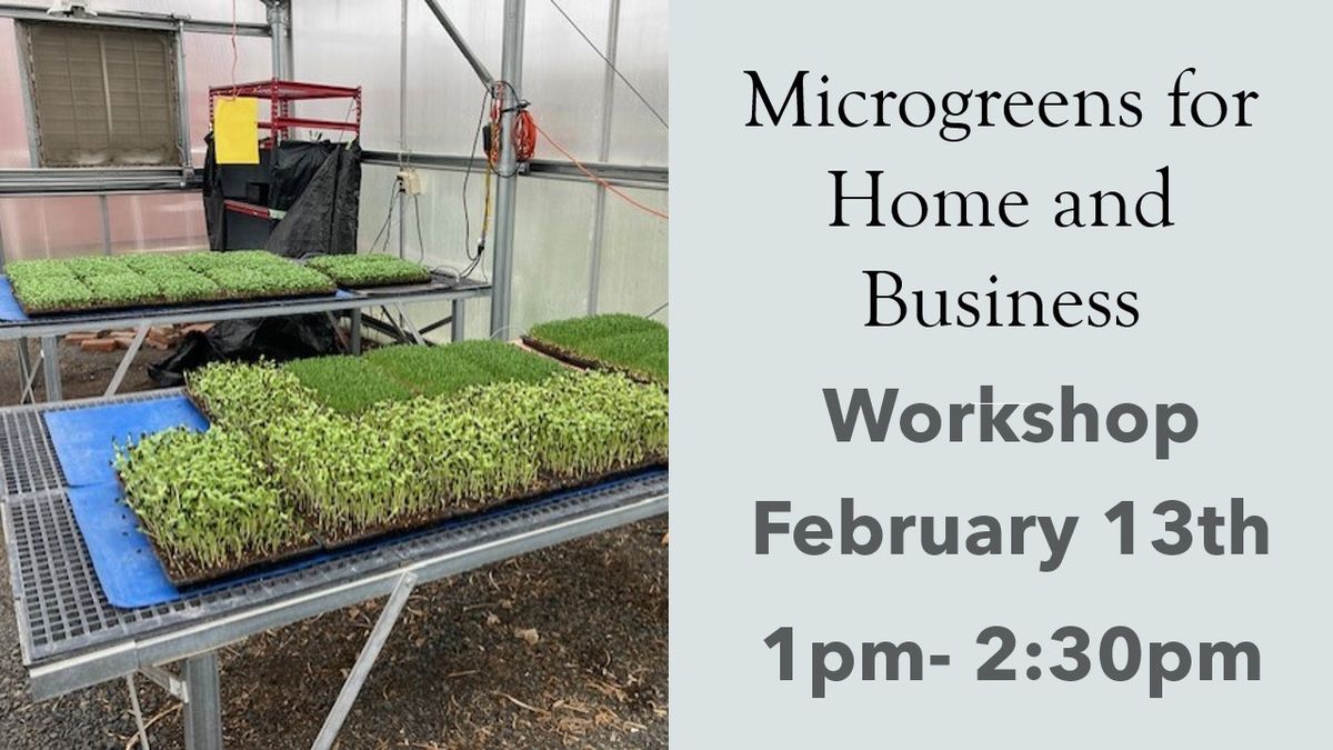 Microgreens for Home and Business Workshop