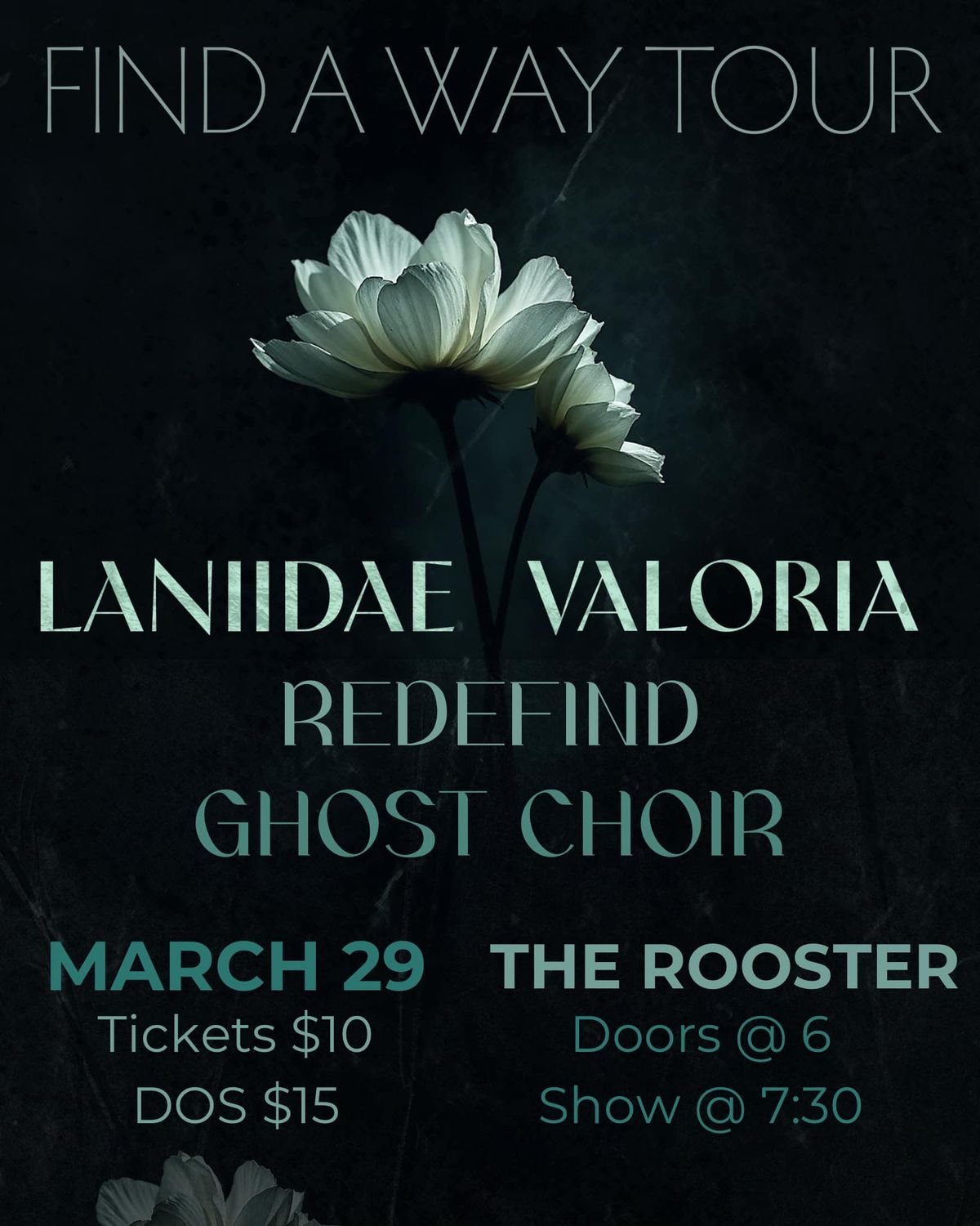 Laniidae w\/Valoria, Redefind & Ghost Choir