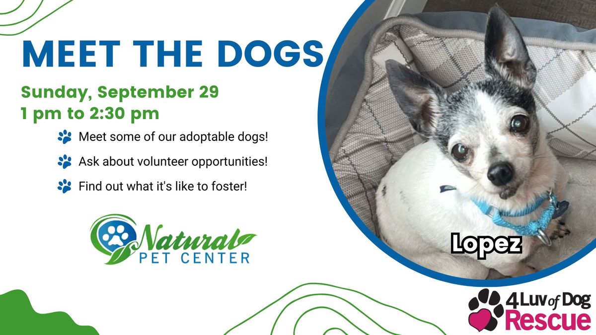 Meet the Dogs at Natural Pet Center 