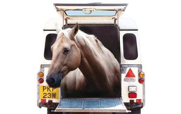 Equine Car Booty