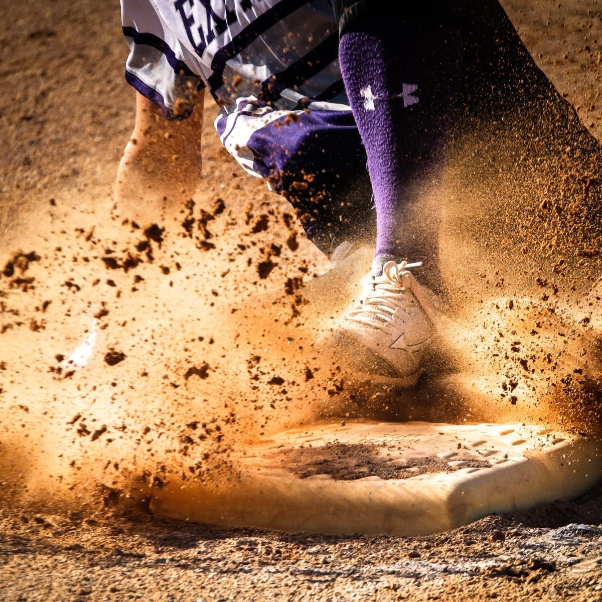 Louisiana Tech Bulldogs at USM Golden Eagles Baseball at Pete Taylor Park