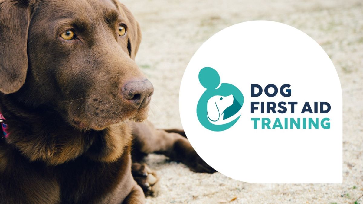 Dog First Aid Training - Offley Hay, near Eccelshall - \u00a359.50