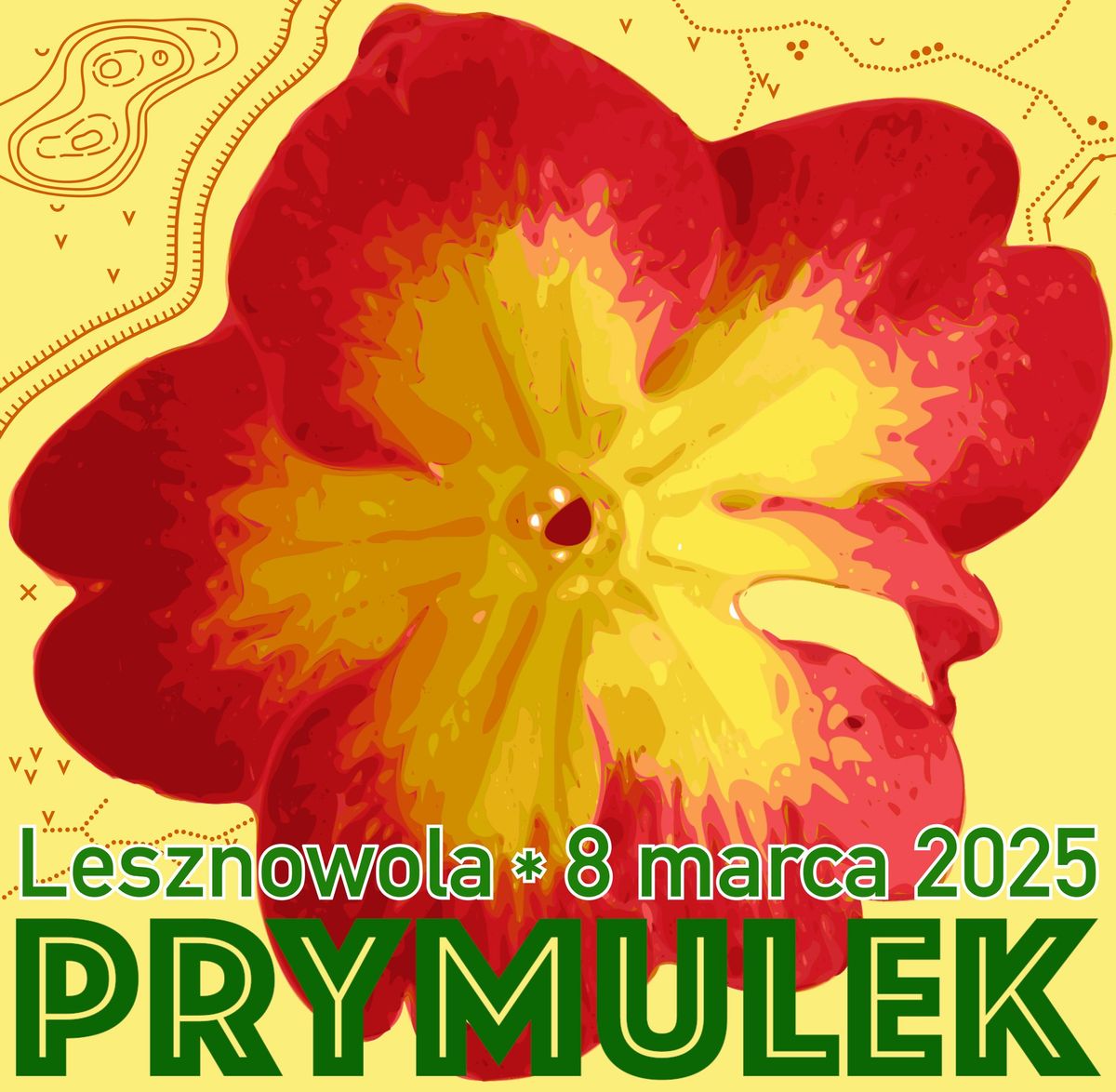 Prymulek