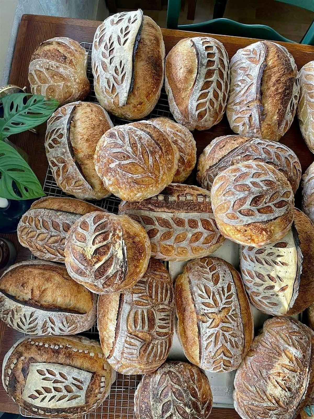 Sourdough Basics - baking the traditional boule