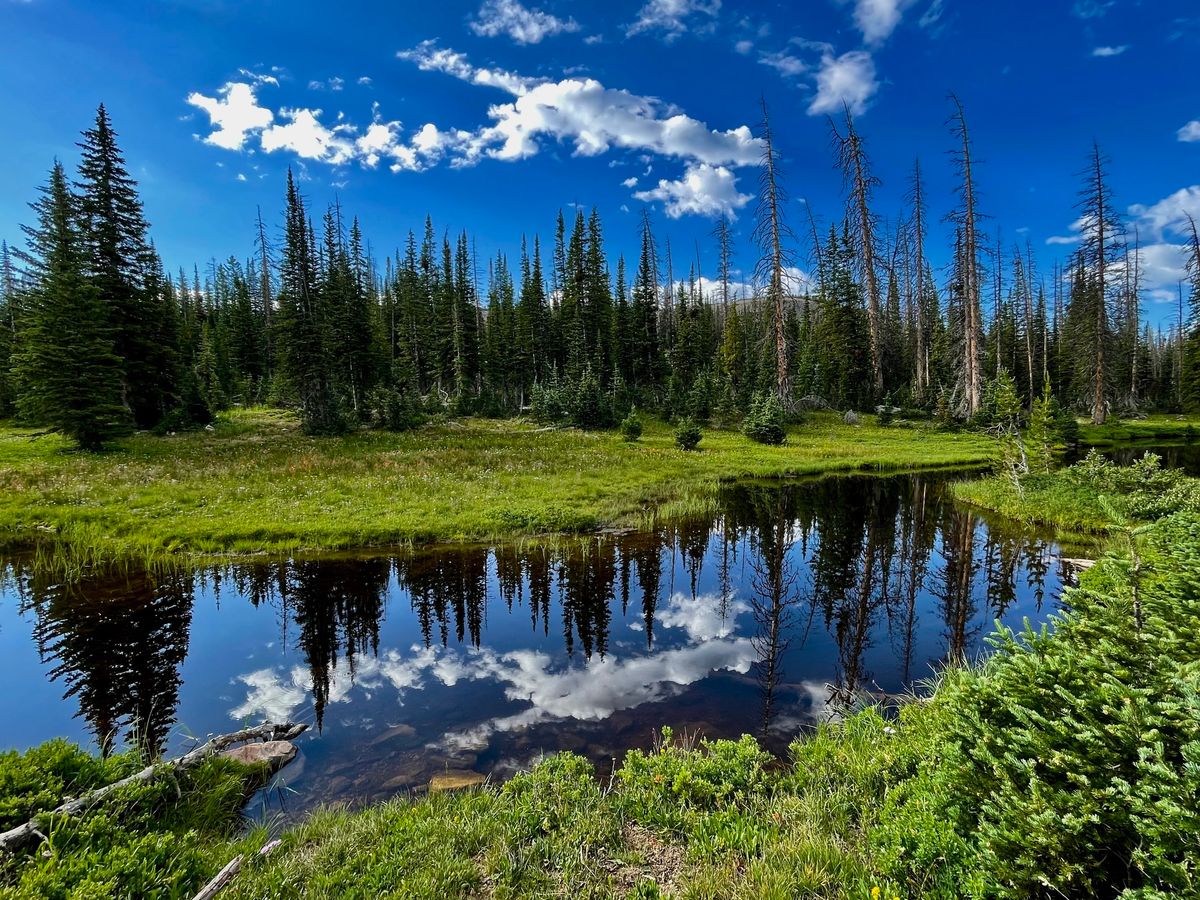 Kamas Valley Fiesta Days Hike !