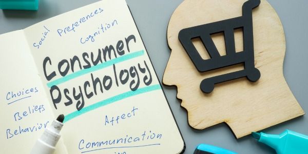 Learning Lab: Unlocking Consumer Psychology in Search Engine Marketing