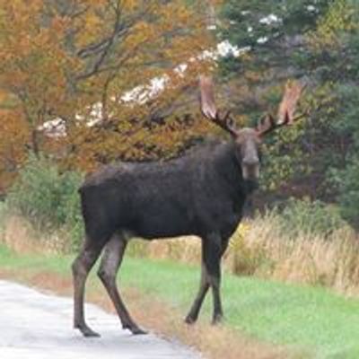 St. Johnsbury Moose Lodge 1779\/Chapter 1021