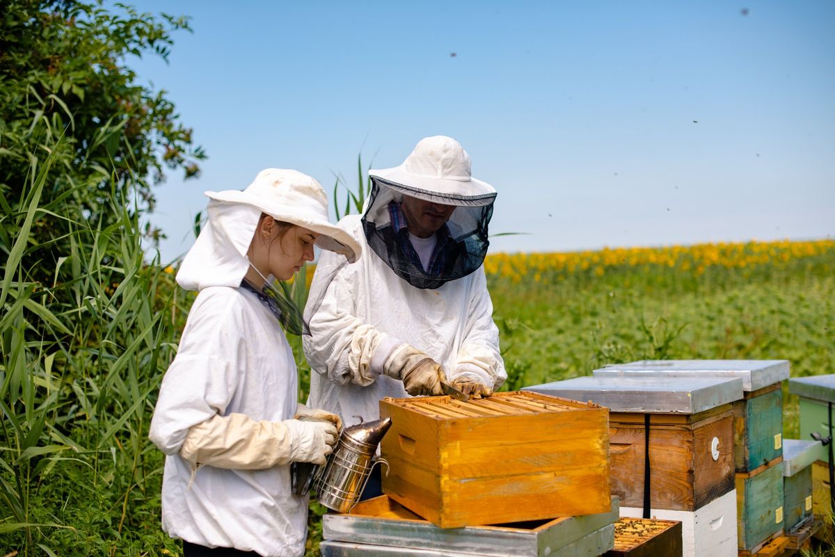 2025 Beginner Beekeeping Course