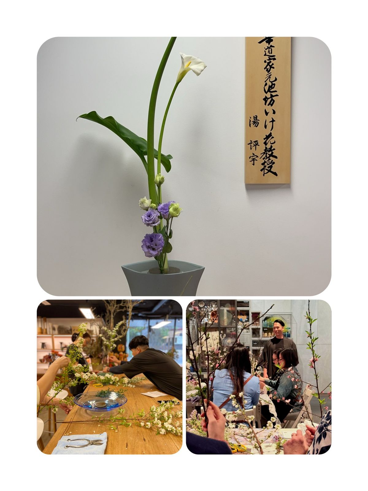 \ud83c\udf38 Ikebana Workshop \u2013 9:30am October 6th, 2024 \ud83c\udf38