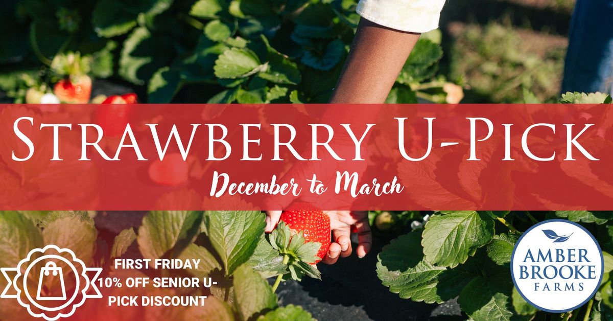 Strawberry U-Pick | Senior Friday