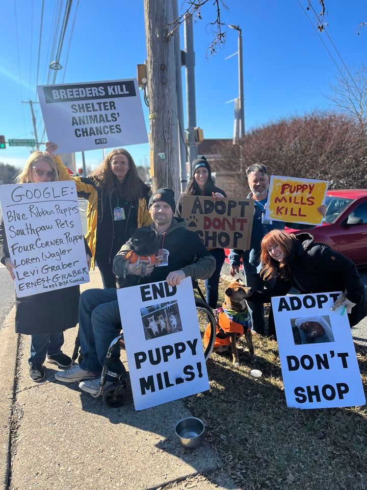 Adopt Don\u2019t Shop at Palmer Park Mall 