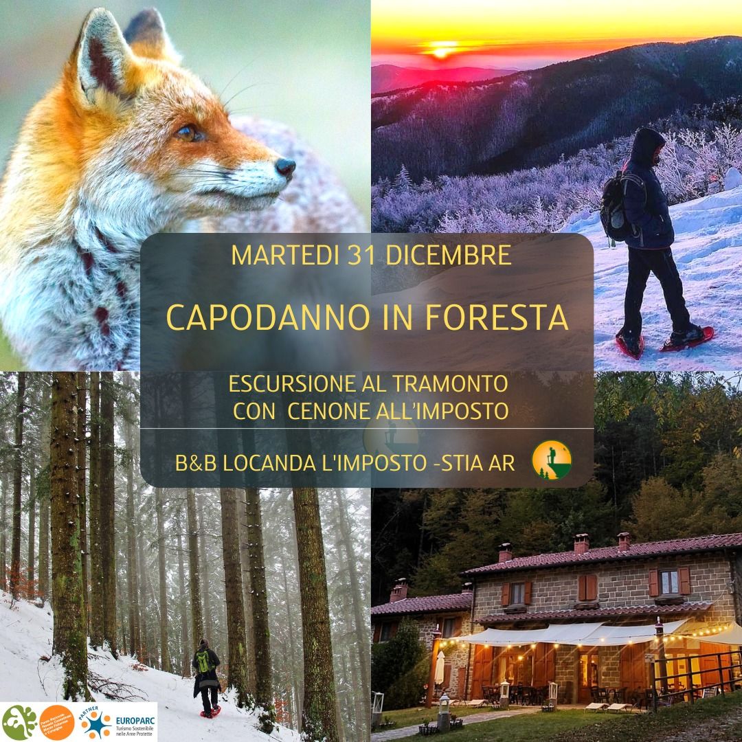 Capodanno in Foresta: Ciaspolata al tramonto con Cenone all'Imposto