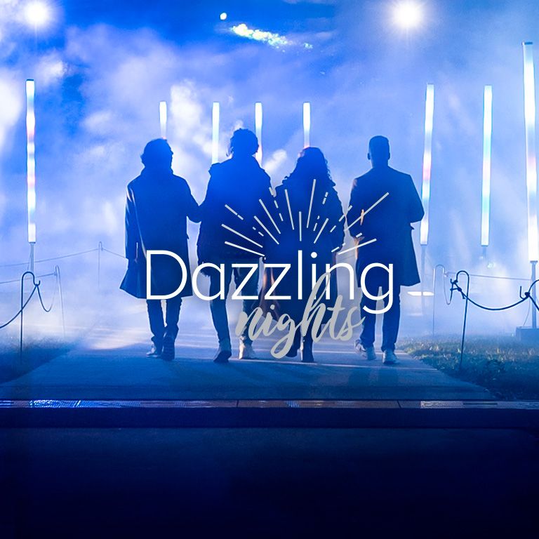 Dazzling Nights