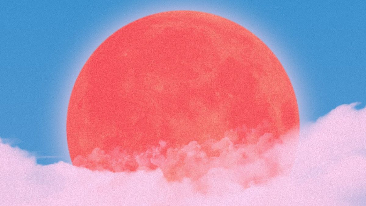 Luna Bay x Castells | Bristol, Golden Lion