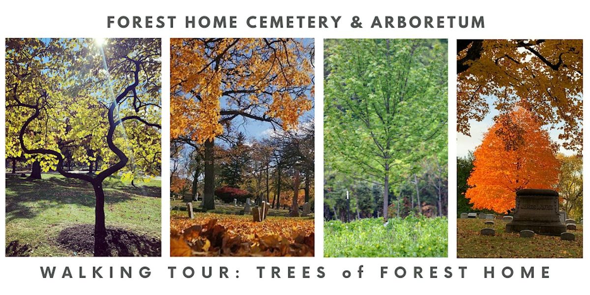 Walking Tour: Trees of Forest Home