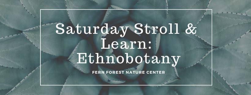 Saturday Stroll & Learn: Ethnobotany