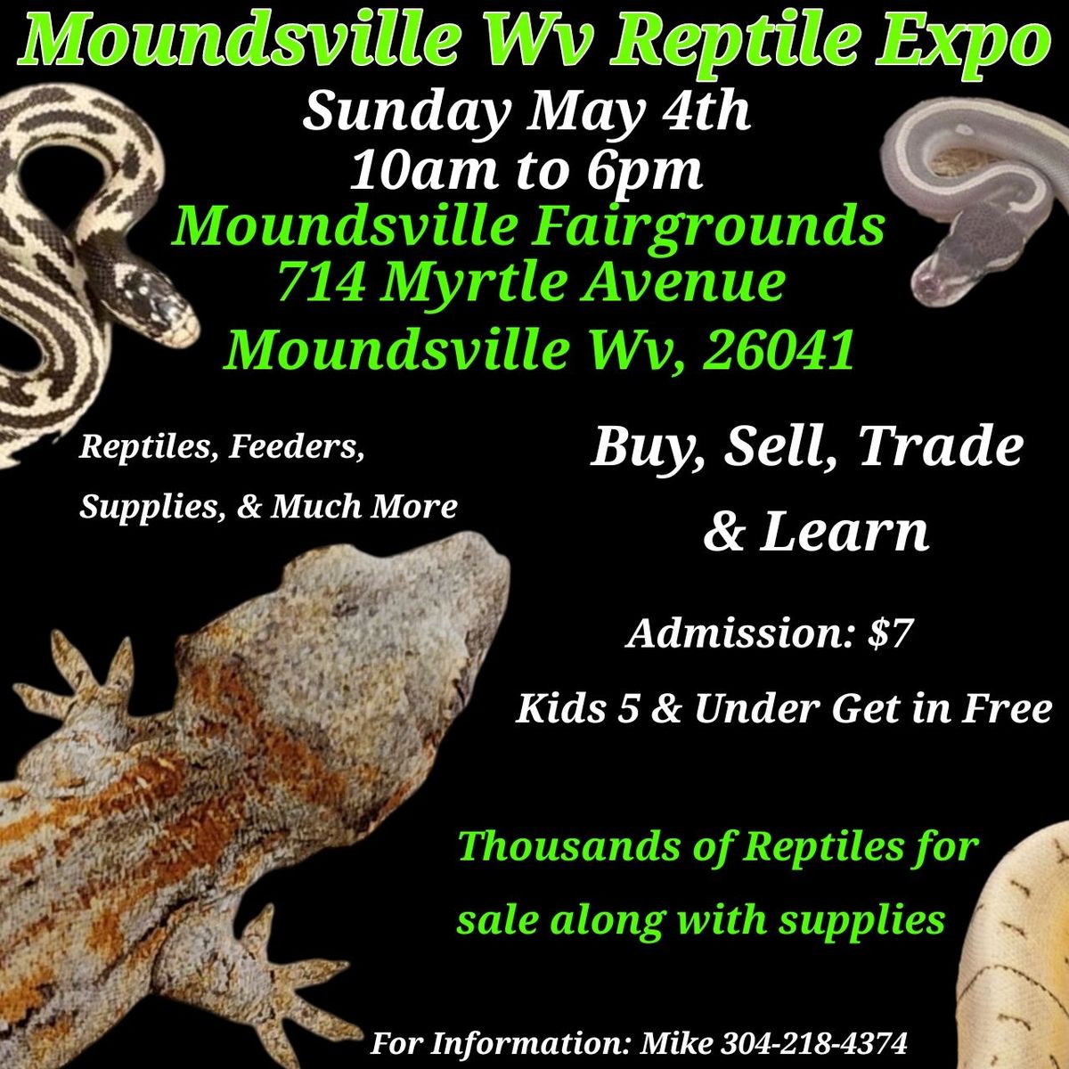 Moundsville Wv Reptile Expo 