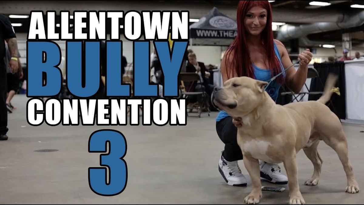 Allentown Bully Convention