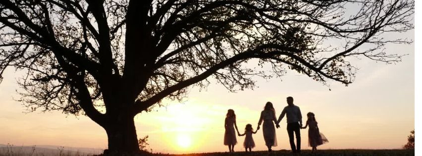  Sacred Family Ties: A Path to Healing (Family constellations workshop)