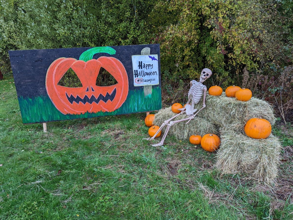 Carsington Water Halloween Trail 