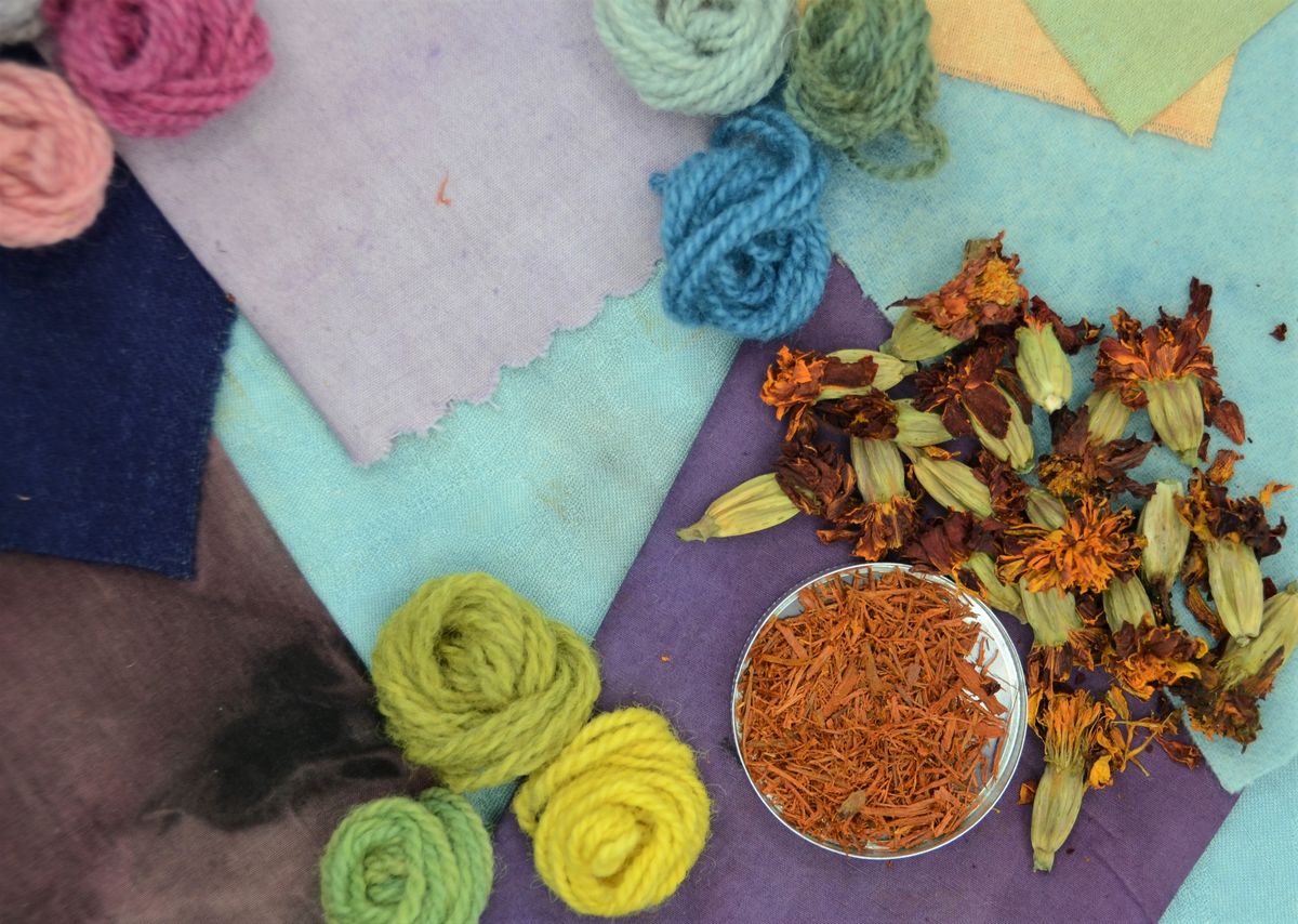 Natural Dye; Deep Dive!