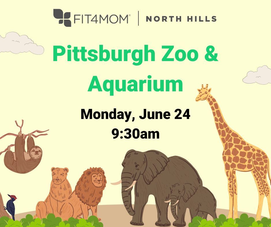 Zoo Meetup