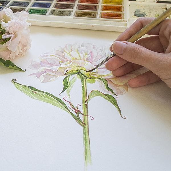 Watercolor Native Plants  Workshop and Happy Hour