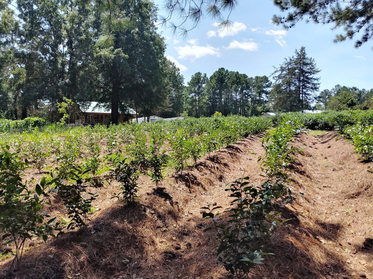 Fall Garden Tour and Tasting