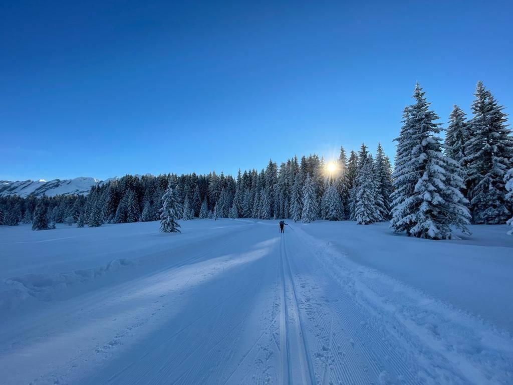 Trail de l'Aigle Blanc