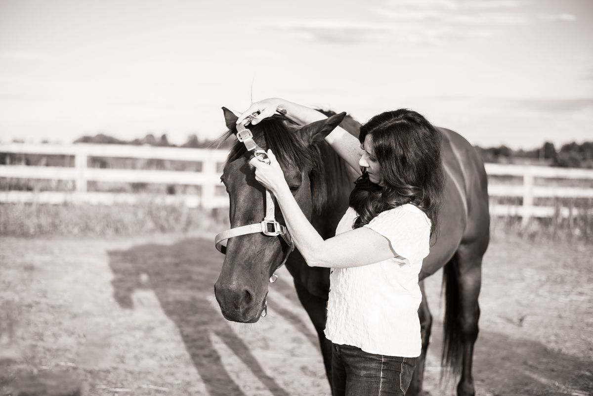 Discover Mindfulness Through Horses - Wellness Workshop