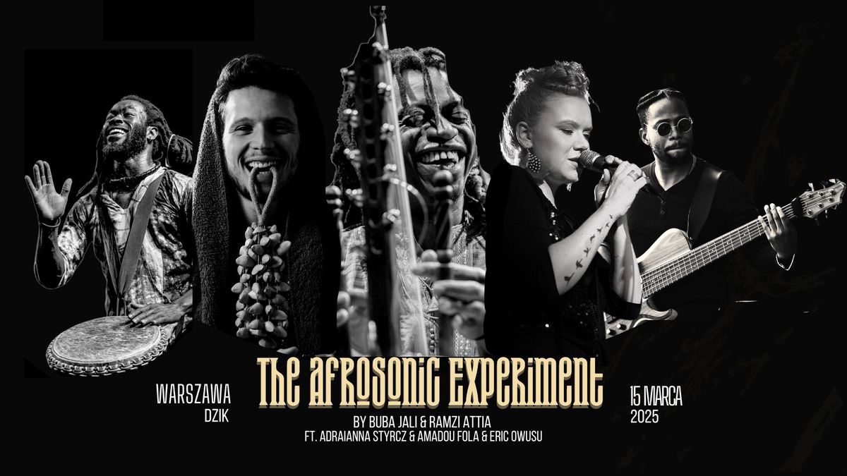 \u2600\ufe0f The Afrosonic Experiment \u2600\ufe0f