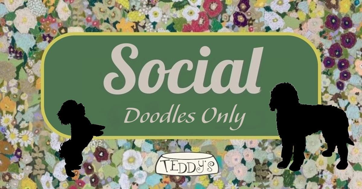 Teddy's Doodle Social Club
