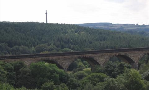 Run Gateshead Sundowner 5k \/ 10k & Junior 3k 2025